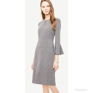 Ann Taylor Dress